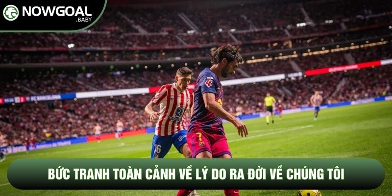 Bức tranh toàn cảnh về lý do ra đời về chúng tôi