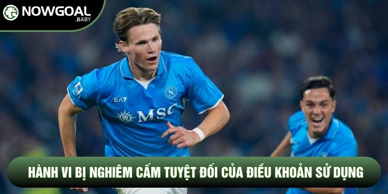 Hành vi bị nghiêm cấm tuyệt đối của điều khoản sử dụng