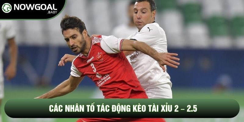 Các nhân tố tác động kèo tài xỉu 2 – 2.5