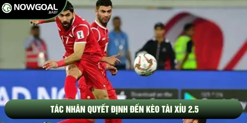 Tác nhân quyết định đến kèo tài xỉu 2.5